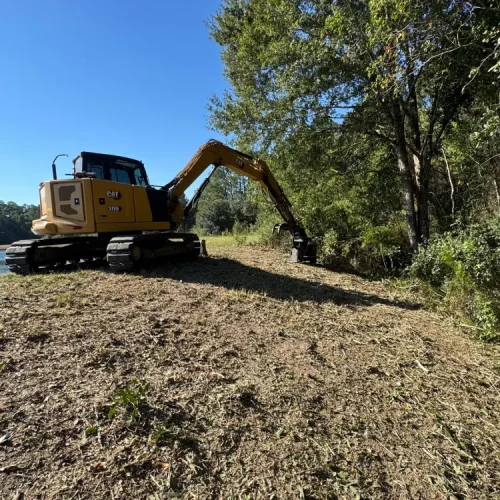 Land Clearing & Forestry Mulching Home Page