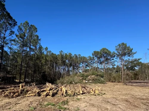 demolition services icon